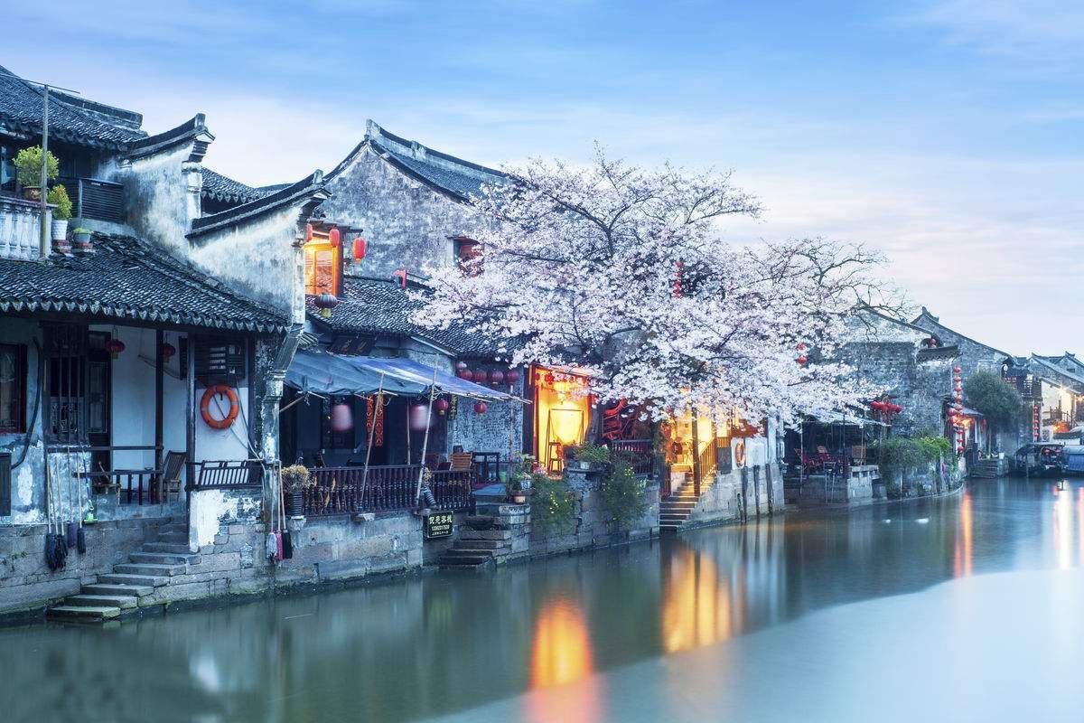 逗小猴开心系列174